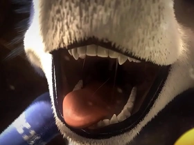 Animated vore adventure with Krystal Fox